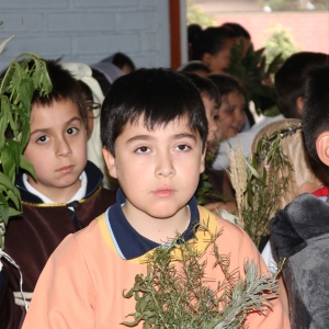 Celebración de Ramos